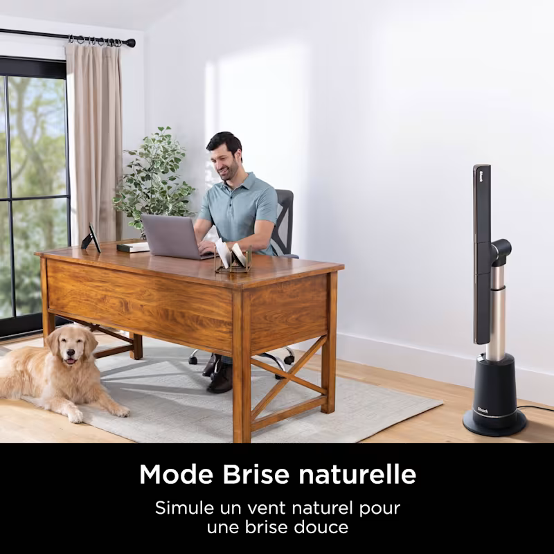 Ventilateur Shark TurboBlade multidirectionnel